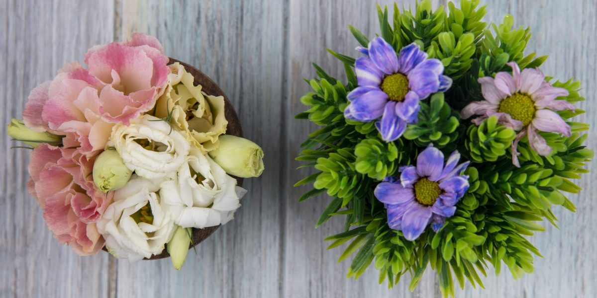top view of flowers in bowl and flowering plant on wooden background